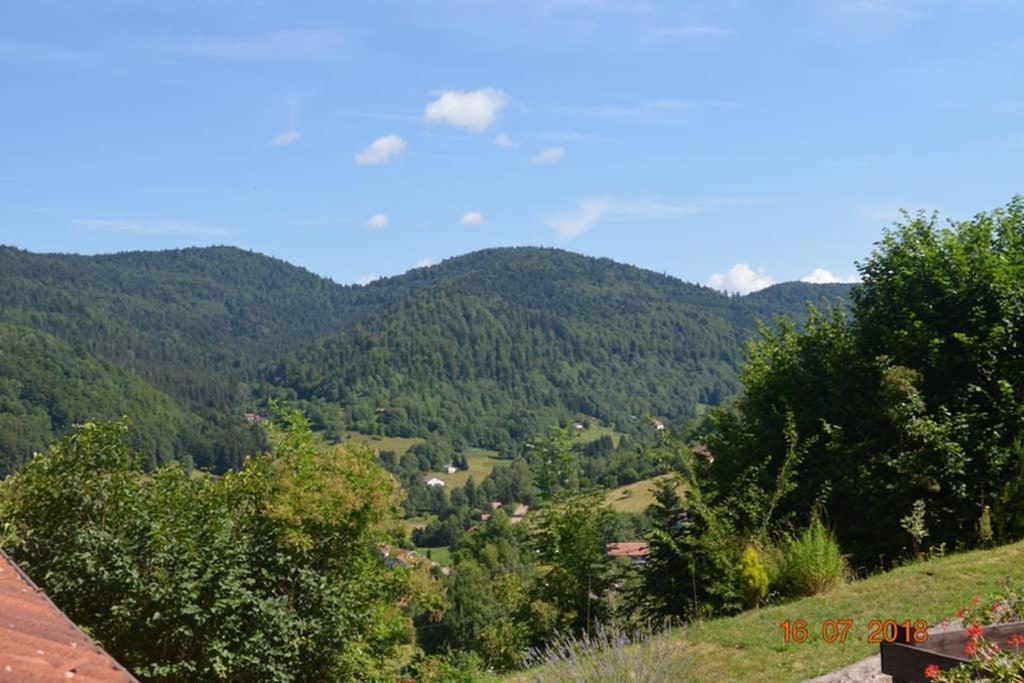 Gite Bussang Exterior foto