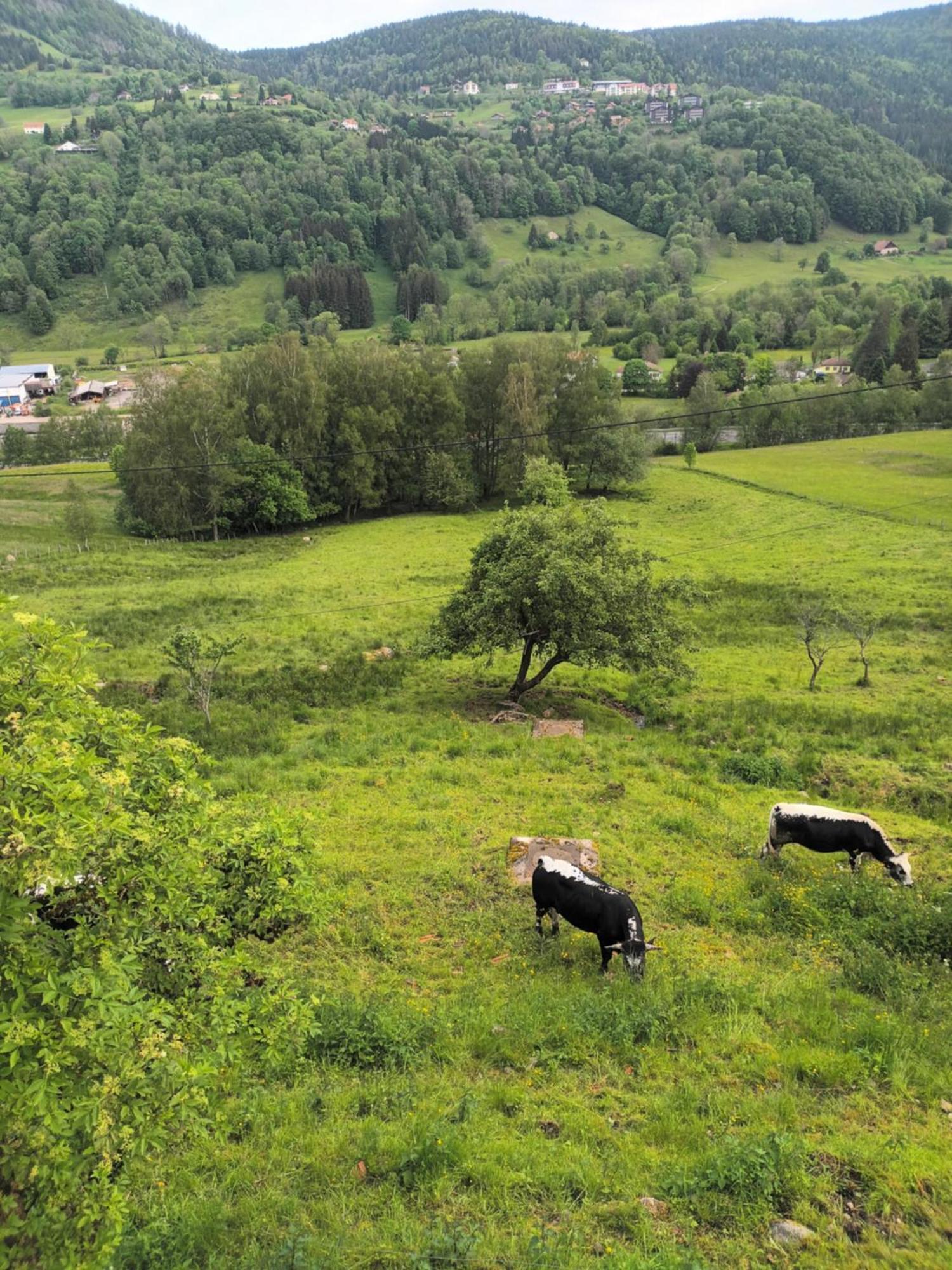 Gite Bussang Exterior foto